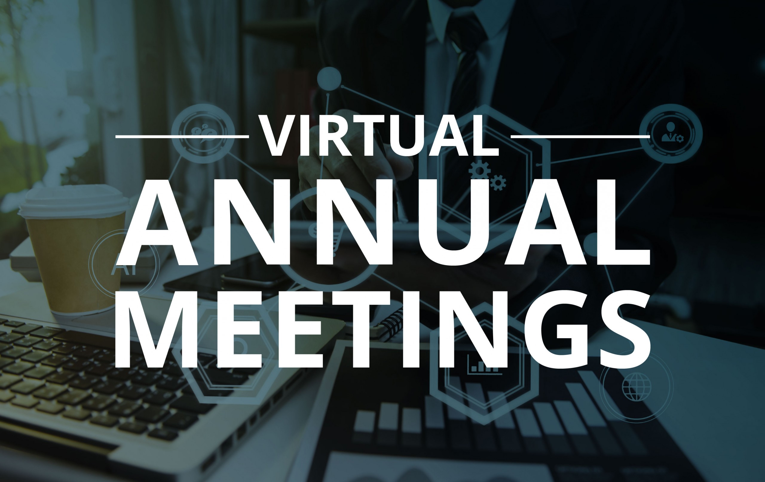 image for Virtual Annual Meetings