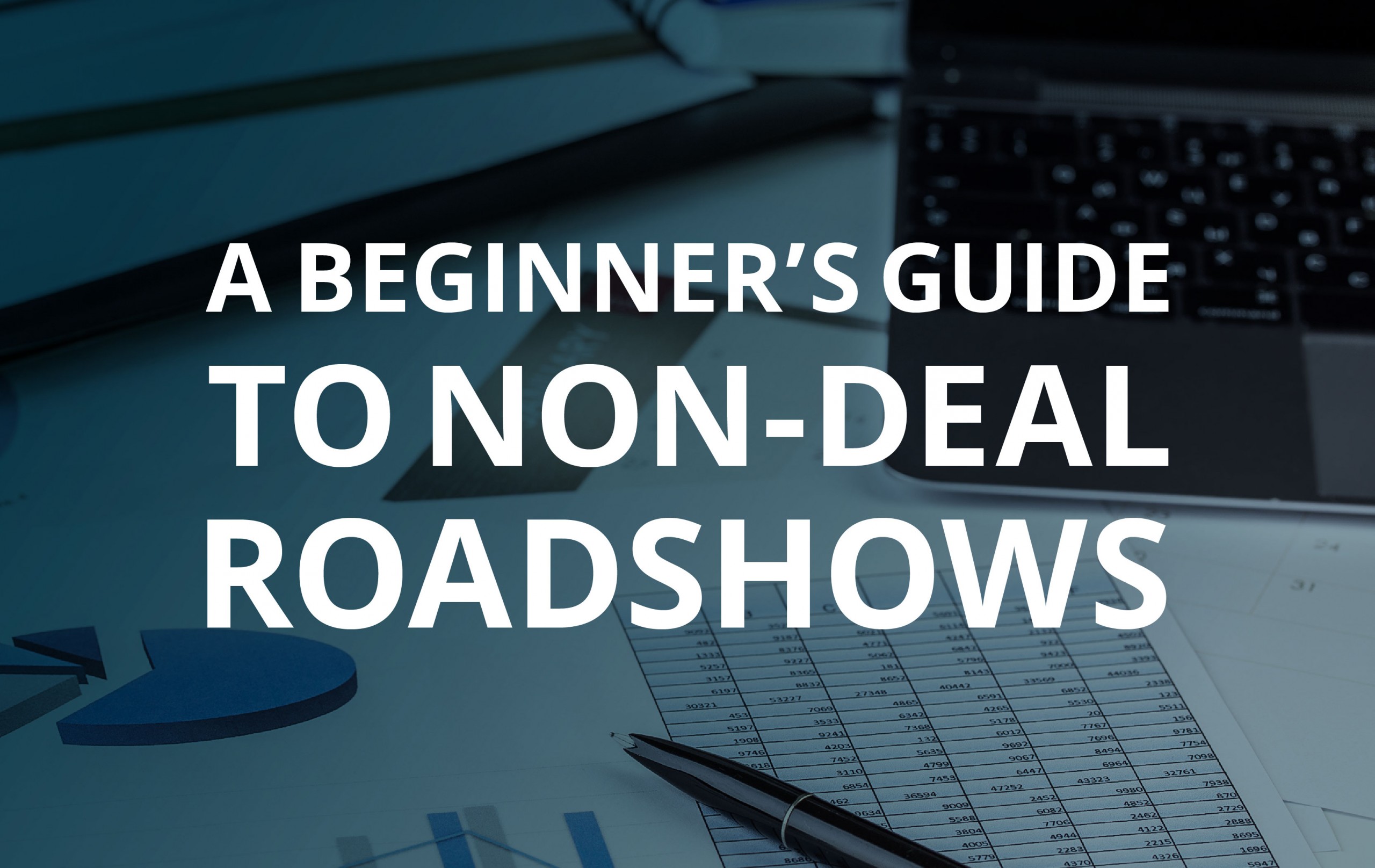 image for A Beginner’s Guide to Non-Deal Roadshows