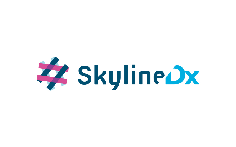 image for SkylineDx