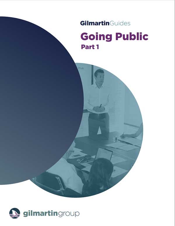 image for Guide to: Going Public Part 1